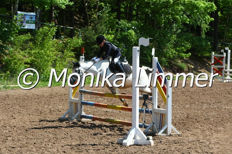 104M8162_SpringWB E.JPG